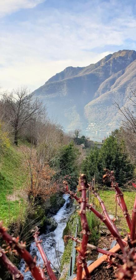 La Turr De Mezz Hotel Nesso Exterior foto
